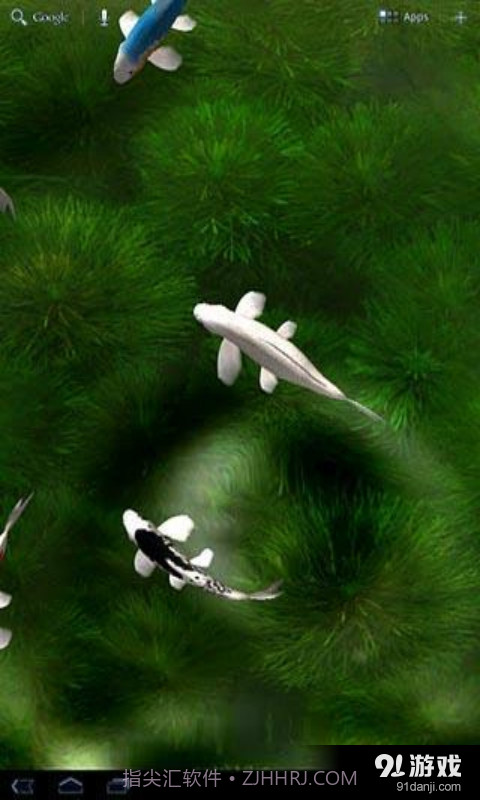锦鲤3D动态壁纸截图1 锦鲤3D动态壁纸截图1