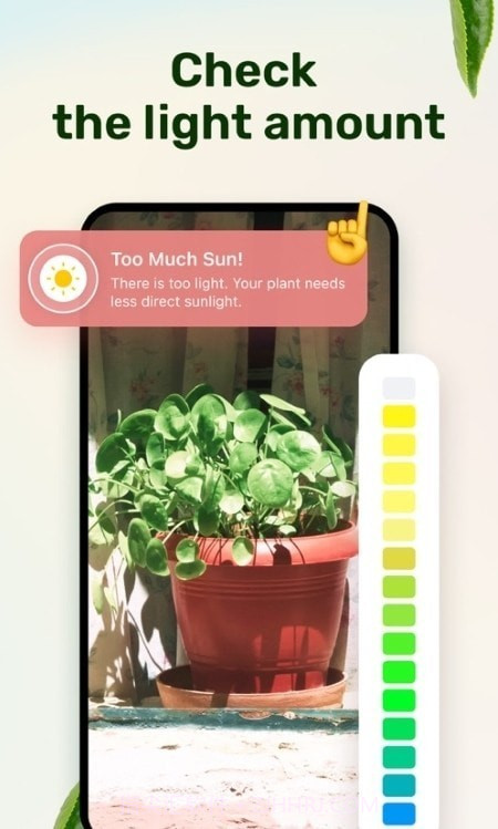 植物养护指南截图2 植物养护指南截图2