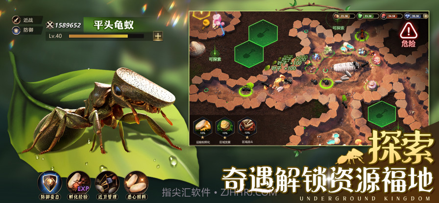 小小蚁国:真实蚂蚁世界截图2