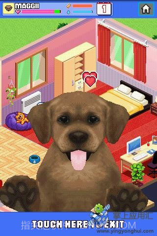 电子宠物狗截图4 电子宠物狗截图4