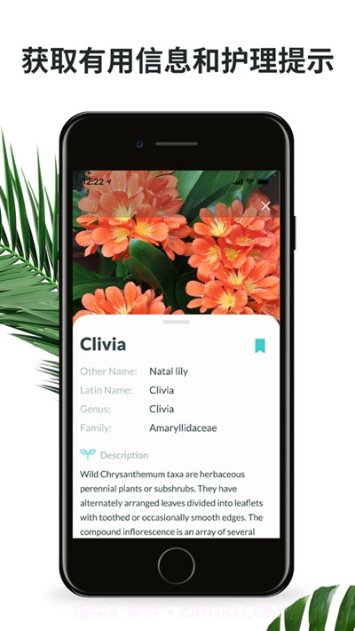 plantyx植物识别截图3