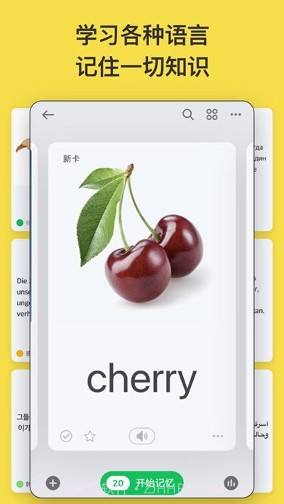 闪卡(高效记忆学习工具)截图2