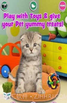 新生宠物兽医截图3 新生宠物兽医截图3