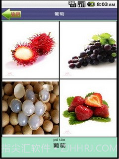 看图识字水果篇截图5