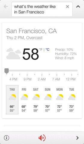 谷歌手机软件截图4