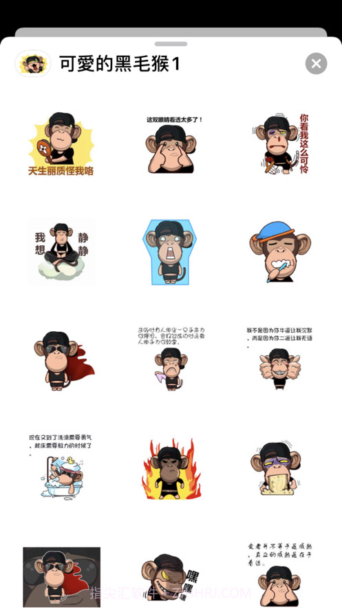 可愛的黑毛猴截图3