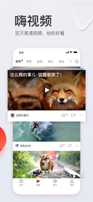 网易新闻(新闻资讯)截图5