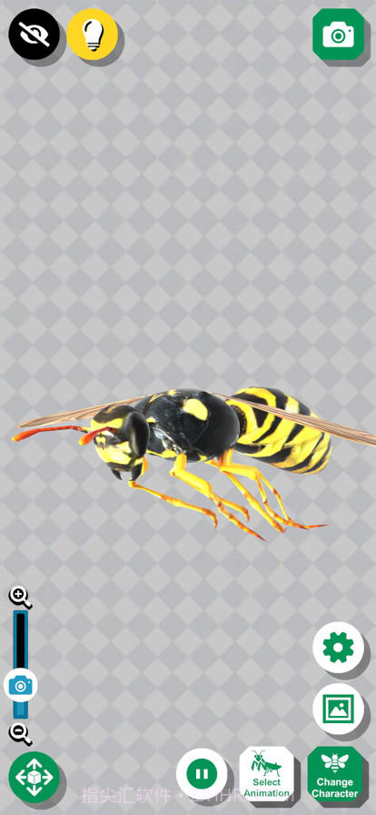 昆虫三维文件截图1