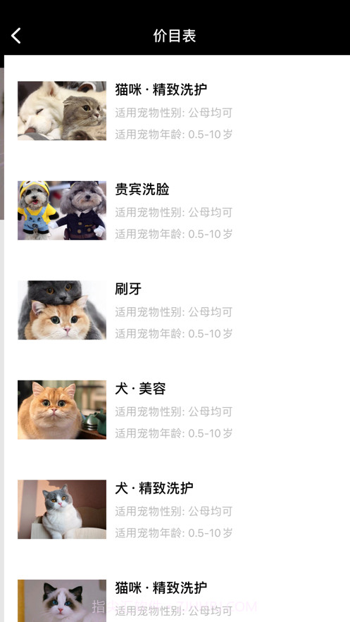 悦宠宠物美容服务截图3