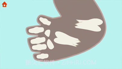 恐龙时光机截图5