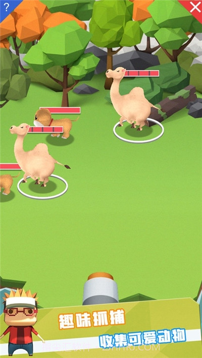 动物管理局截图1