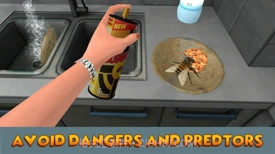 3D仿真苍蝇模拟器截图2 3D仿真苍蝇模拟器截图2