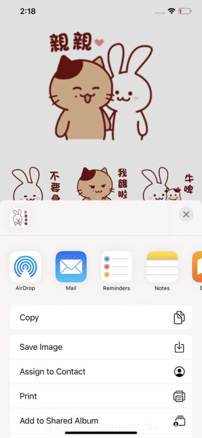 猫和兔截图2 猫和兔截图2