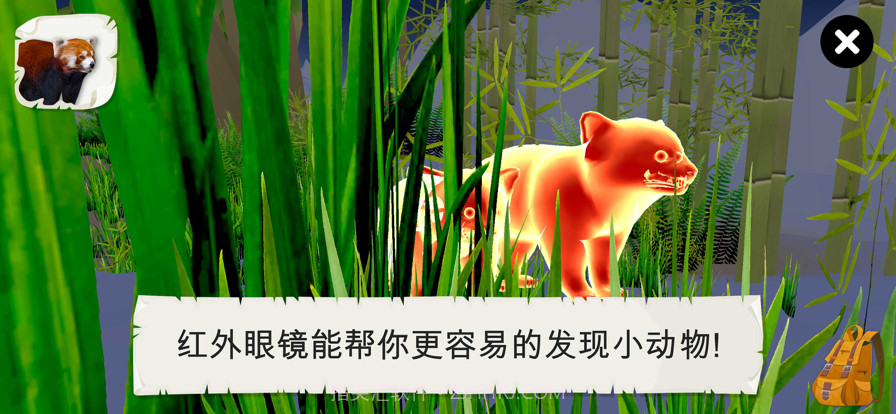 野生动物截图6 野生动物截图6