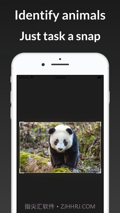ianimal动物识别截图1 ianimal动物识别截图1