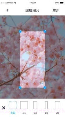 P图照片处理截图3 P图照片处理截图3