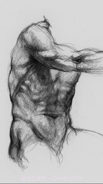 艺术家之3d解剖图截图5 艺术家之3d解剖图截图5