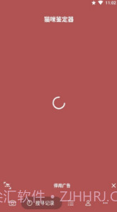 猫咪识别器(猫咪识别器品种鉴定)安卓中文版截图2