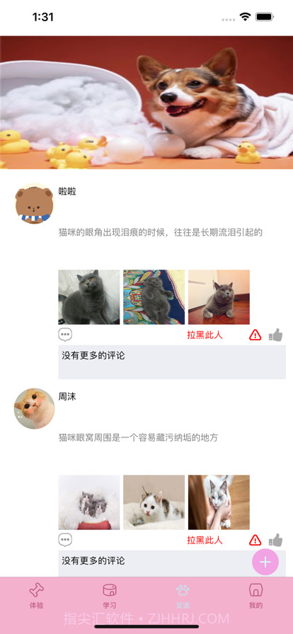 宠尤截图4 宠尤截图4