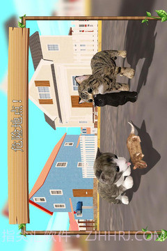 在线模拟猫最新版本截图5