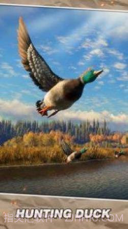 野生生存狩猎截图2 野生生存狩猎截图2