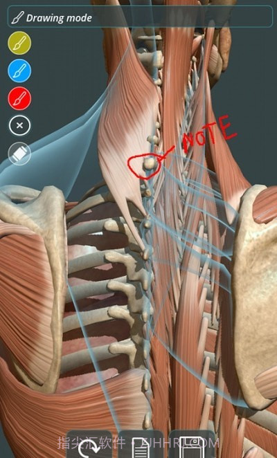 人体3D立体解剖(Visual Anatomy 3D - Human)截图4 人体3D立体解剖(Visual Anatomy 3D - Human)截图4