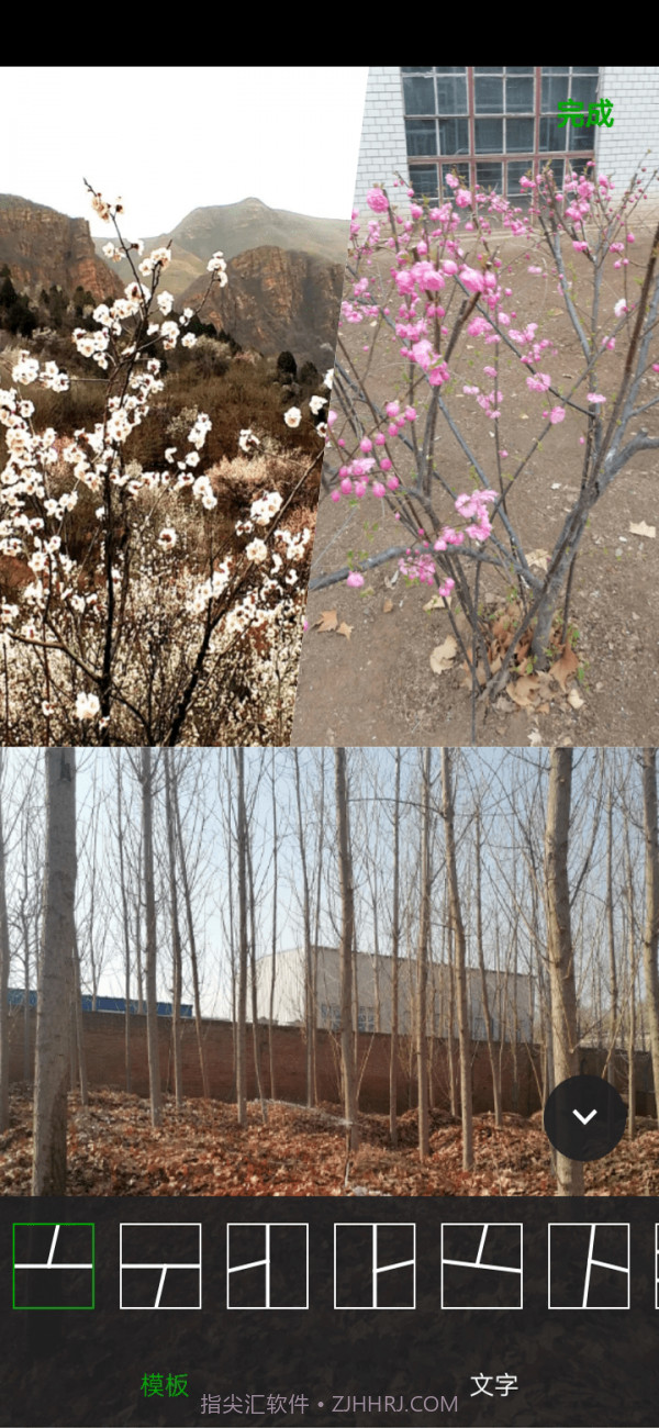 小葡萄截图3 小葡萄截图3