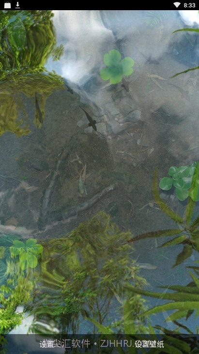 锦鲤鱼池3D动态壁纸截图1
