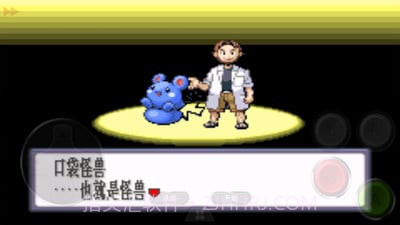 口袋妖怪：红宝石截图3