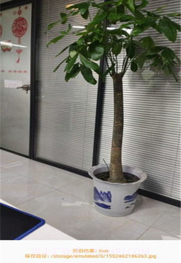 抓拍神器截图2 抓拍神器截图2