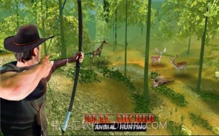 真正的弓箭手动物狩猎截图2