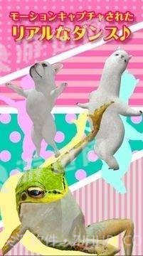 adanza跳舞的羊驼最新版截图1