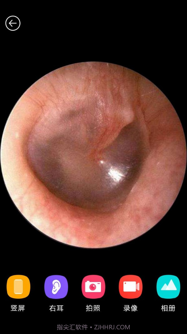 蜂鸟采耳截图3 蜂鸟采耳截图3