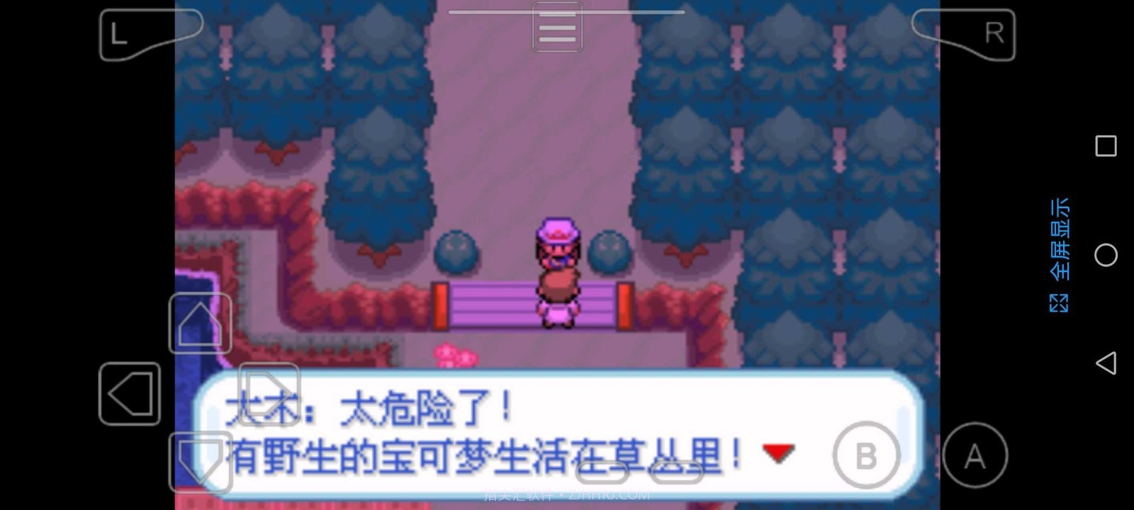 精灵宝可梦圣光白截图3 精灵宝可梦圣光白截图3