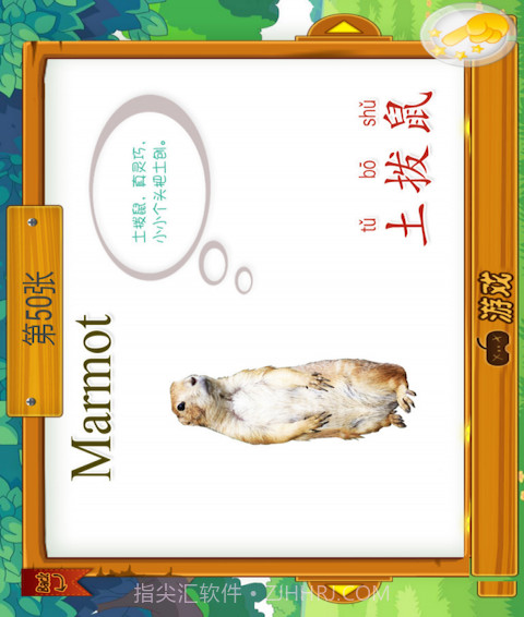 动物大全截图4 动物大全截图4