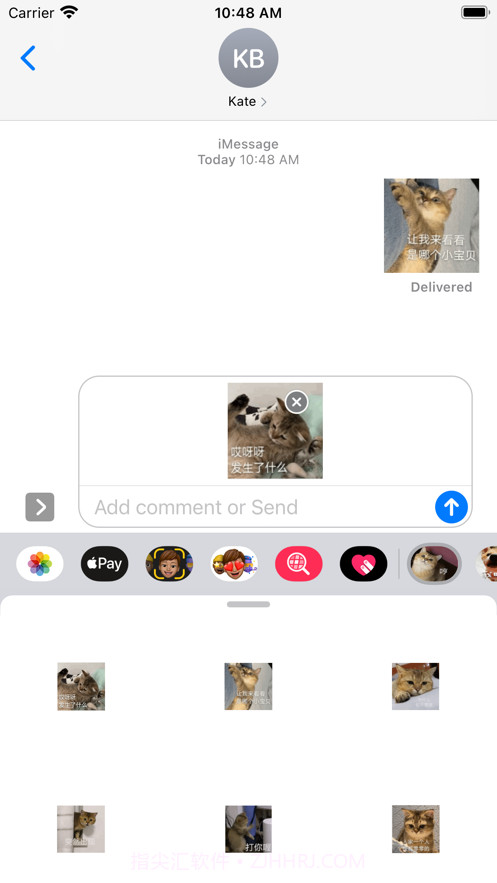 一颗不落小糖喵喵截图1