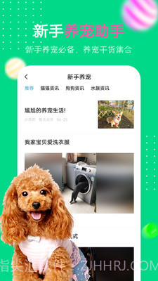 爱宠圈截图3 爱宠圈截图3