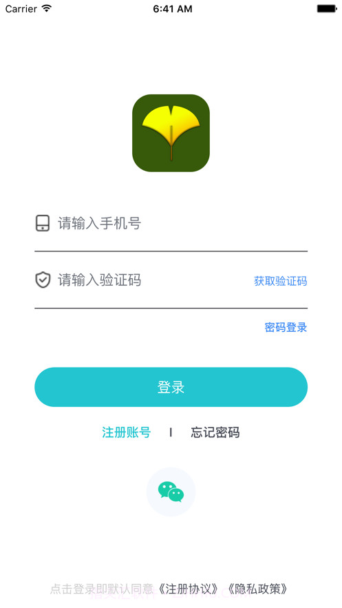 白果树截图1 白果树截图1