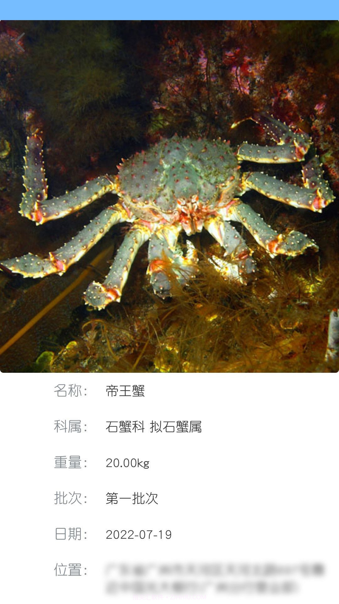 南海天然海鲜商家截图1 南海天然海鲜商家截图1