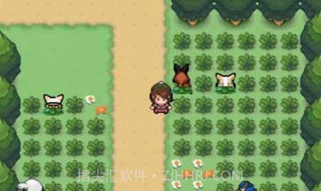 口袋妖怪剑盾gba铠之孤岛金手指截图1