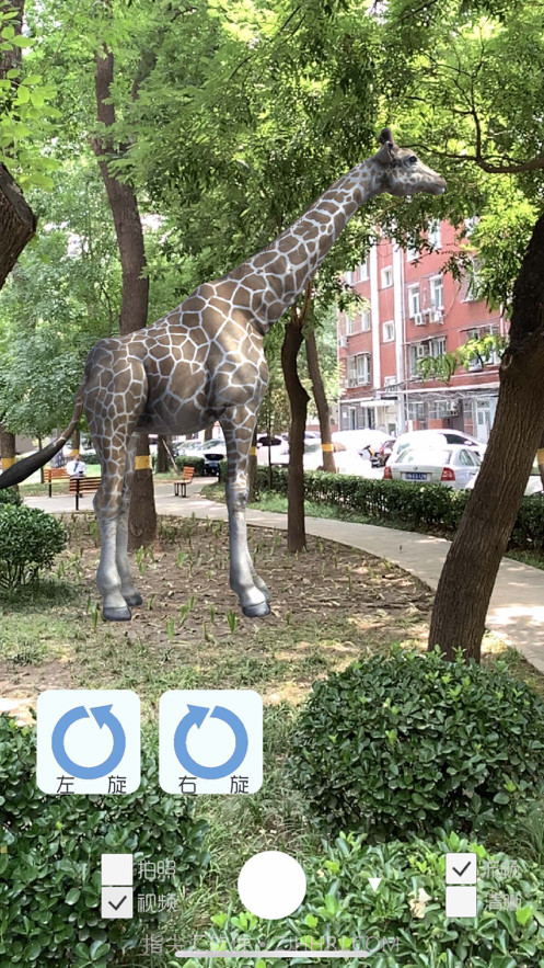 拍拍鹿截图2 拍拍鹿截图2