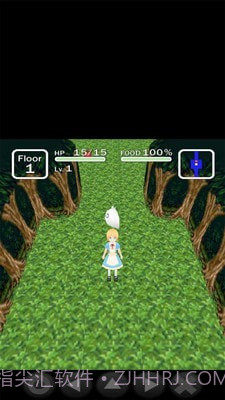 爱丽丝与不思议的迷宫截图4