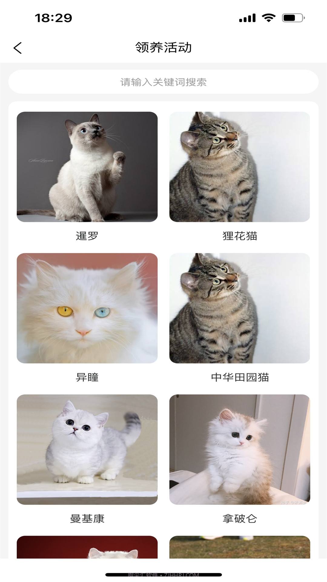 宠哩吖商城截图1