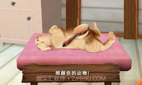 动物旅馆正版截图3