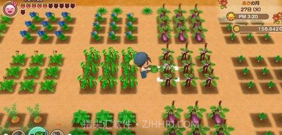 牧场物语再会矿石镇截图2