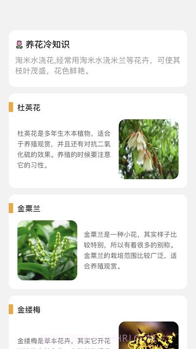 百花悦看截图4