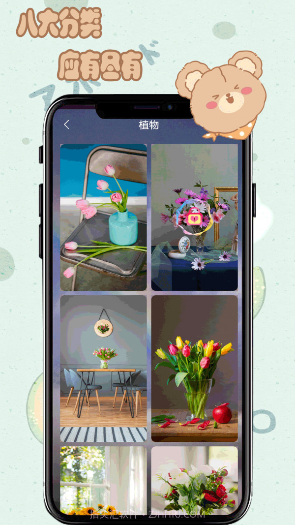 元气小熊壁纸截图1 元气小熊壁纸截图1