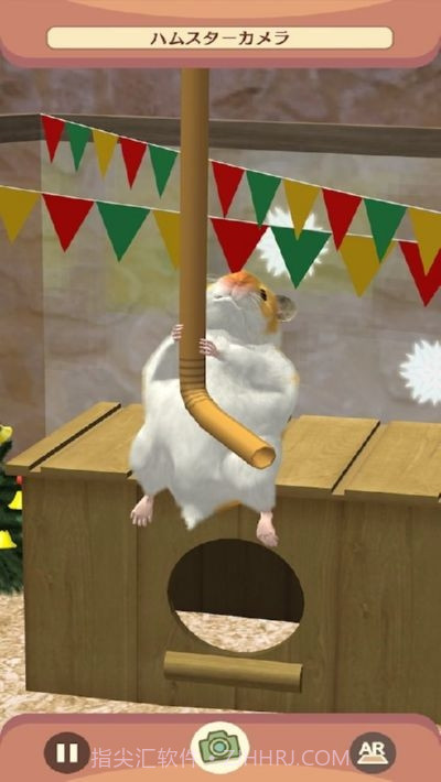 我的仓鼠无限金币版截图1 我的仓鼠无限金币版截图1