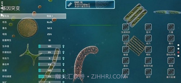 孢子的起源截图2