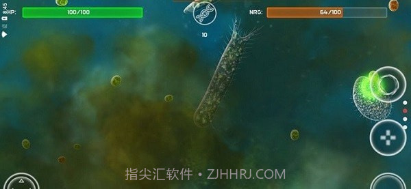 孢子的起源截图4